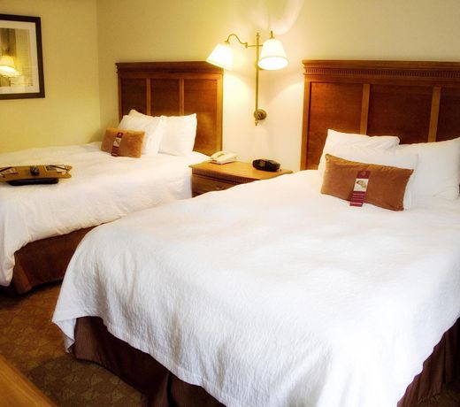 Hampton Inn & Suites Knoxville-Downtown