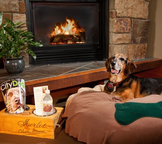 Willows Lodge LVX