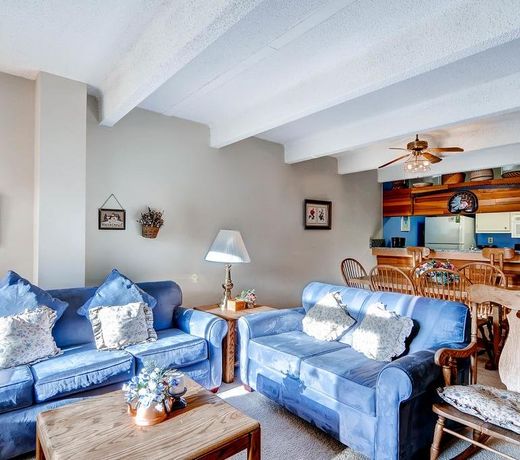 Wheeler at East Village by Copper Mountain Lodging