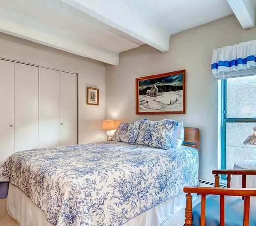 Wheeler at East Village by Copper Mountain Lodging