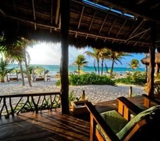 Life Source Retreats Tulum