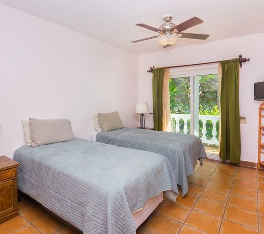 Coral Vista #5