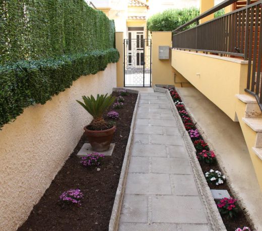 Casa Viola