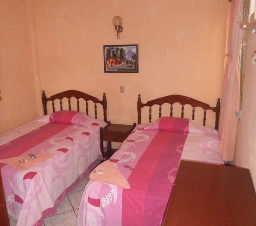 Hotel Posada de la Jungla