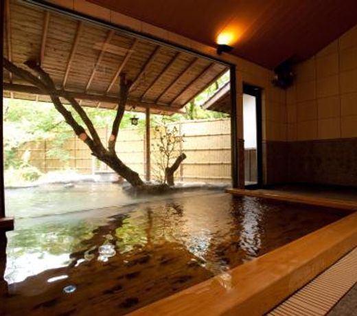 Akizuki Spa Ryokan Seiryuan