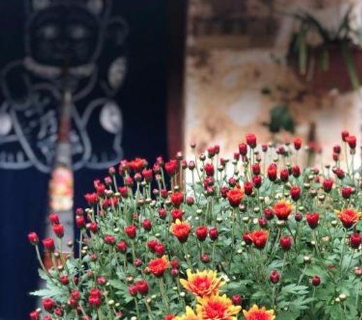 Lijiang Jayden Lodgeè£å®å°ç­ - Namaste