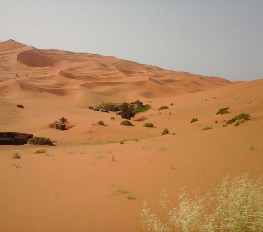 Secret Du Sahara