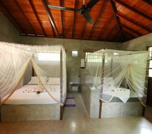 Mangrove Beach Chalets
