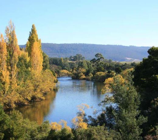 Riverview Cottage