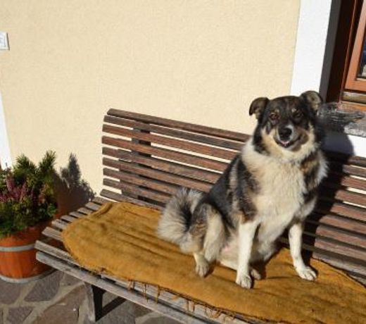 Bohrerhof