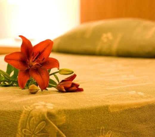 Vitosha Park Hotel