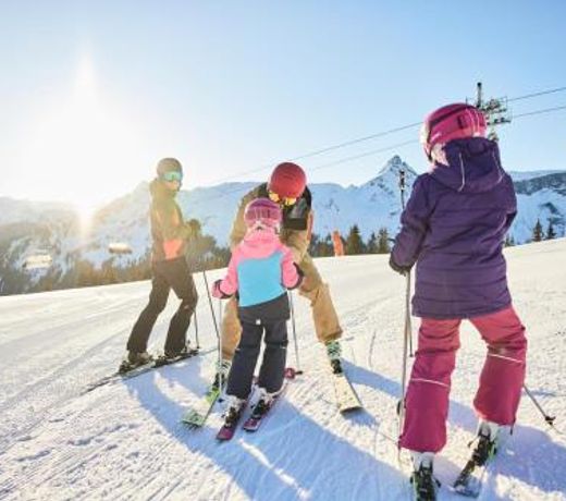 Chalet Mariedl