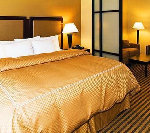 Comfort Suites McDonough Atlanta South