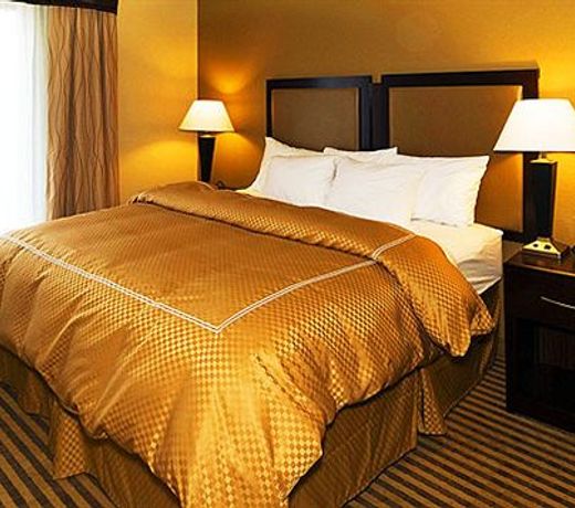 Comfort Suites McDonough Atlanta South
