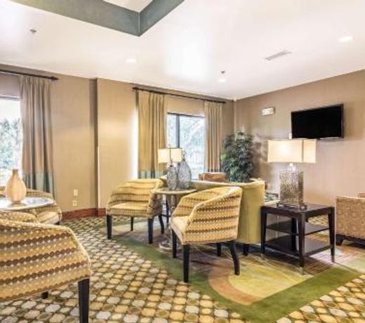 Comfort Suites McDonough Atlanta South