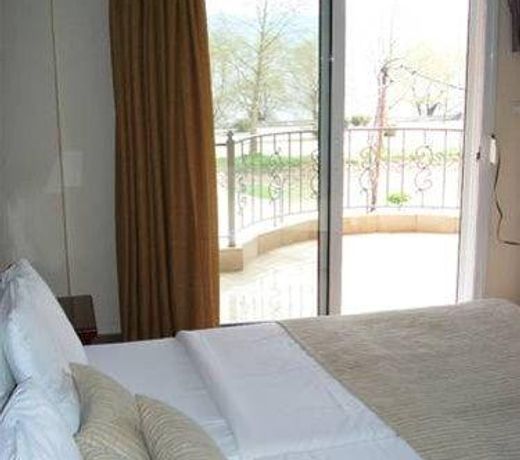 Akti Hotel Ioannina