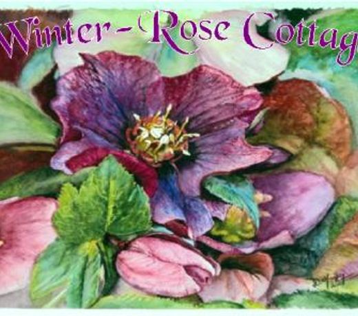 A WINTER ROSE COTTAGE