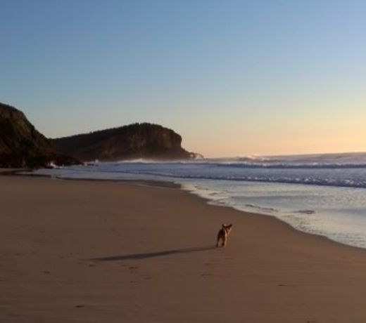 Seaview Bed And Breakfast