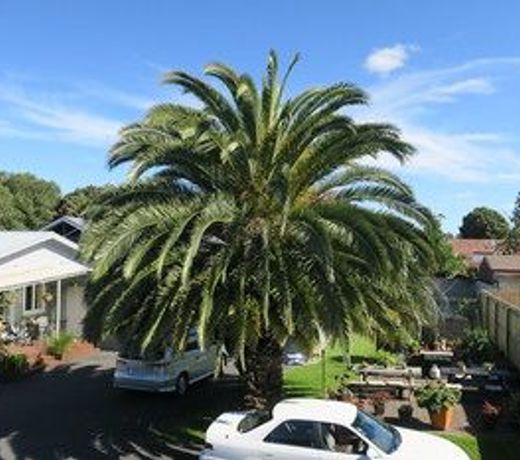 Roselands Motel