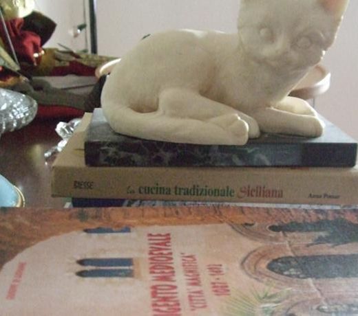 A CASA DI MAX
