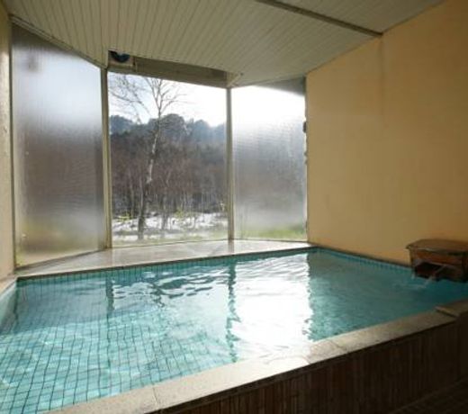 Ishinoyu Lodge