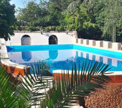 Hotel Angy