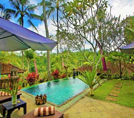 The Mahogany Villa
