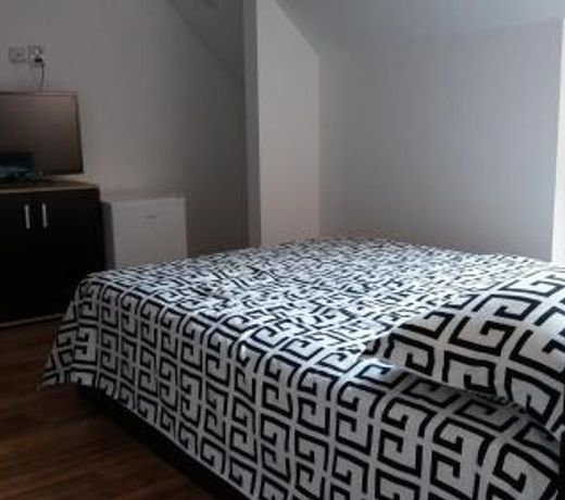 Hotel Marasesti