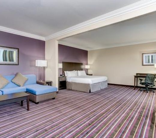 Holiday Inn Express & Suites Raceland - Highway 90, an IHG Hotel
