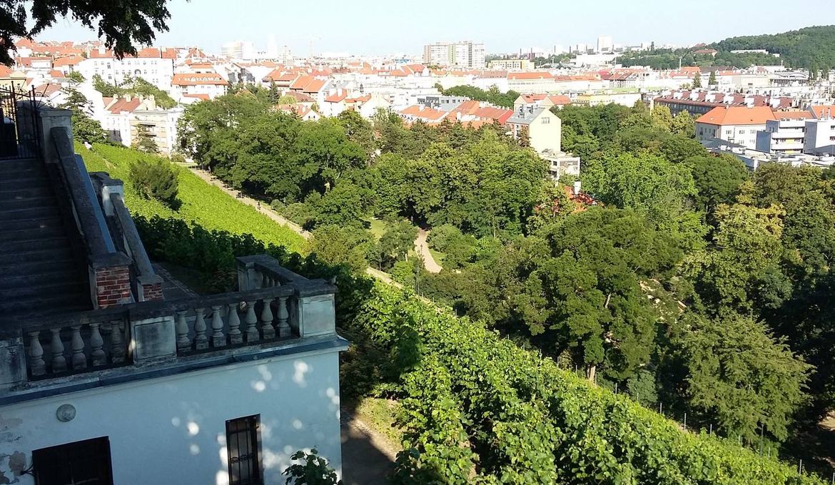 Vinohrady Garden Apartment