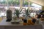 Marine House Boutique Hotel