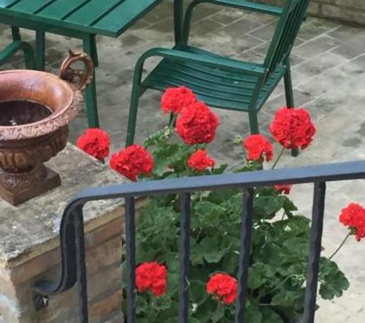 Villa Anna Savini Casa Vacanze