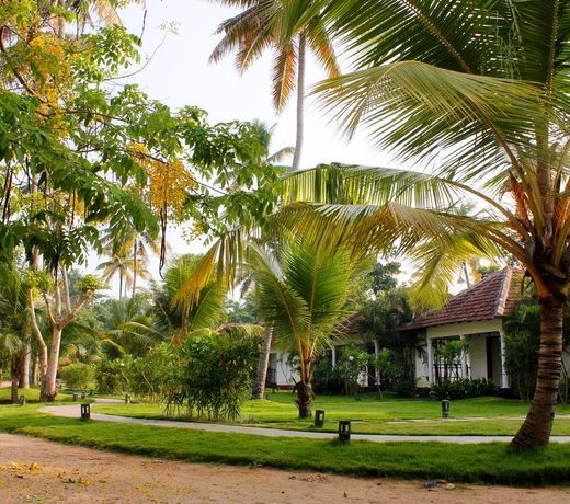 Seclude Kerala, Marari Sands