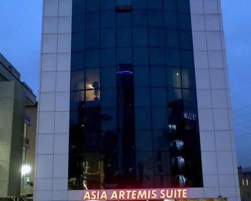 Asia Artemis Suit Hotel İstanbul - Умрание - фото 24