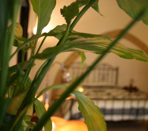 B&B Antiche Volte