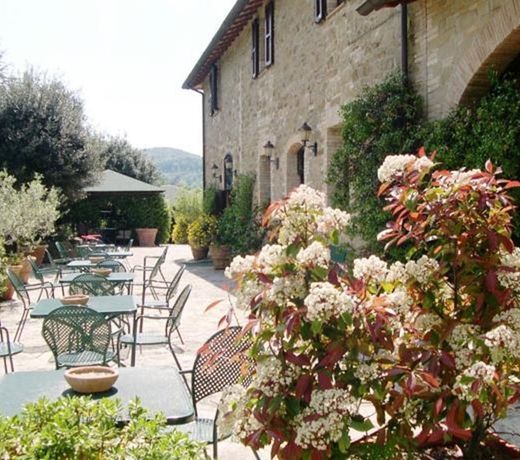 Poggio Degli Olivi