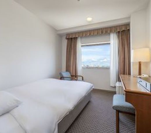 Hotel Tsu Center Palace