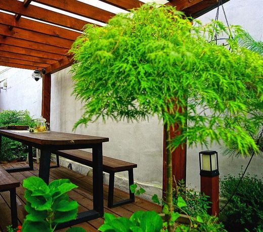 jeonju skylove hanok stay