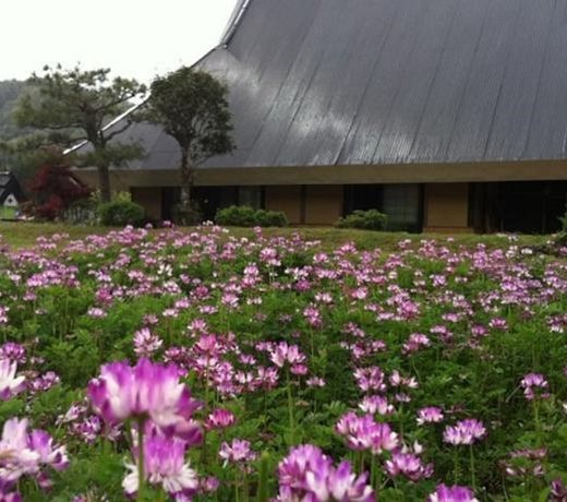 å¤æ°å®¶ã®å®¿ ãµãã¾å®¶ Furumaya House Gastronomic Farmstay in Deep Kyoto