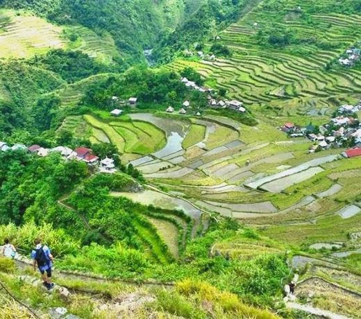 Batad View Inn and Restaurant