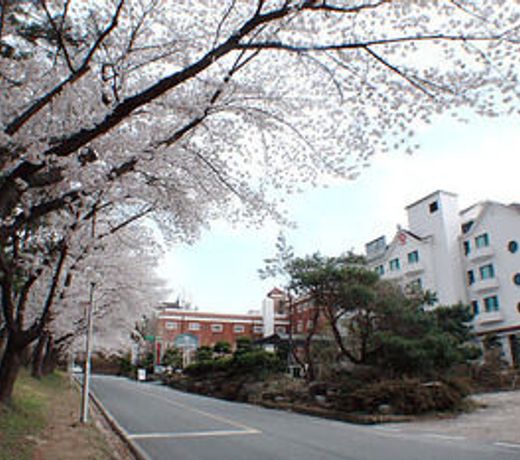 Hotel Valentine Gyeongju