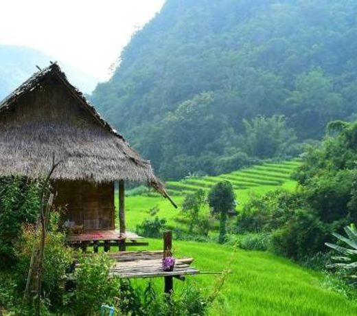 Kowit Maechaem Farmstay