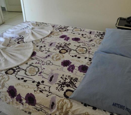 Artemis Hotel