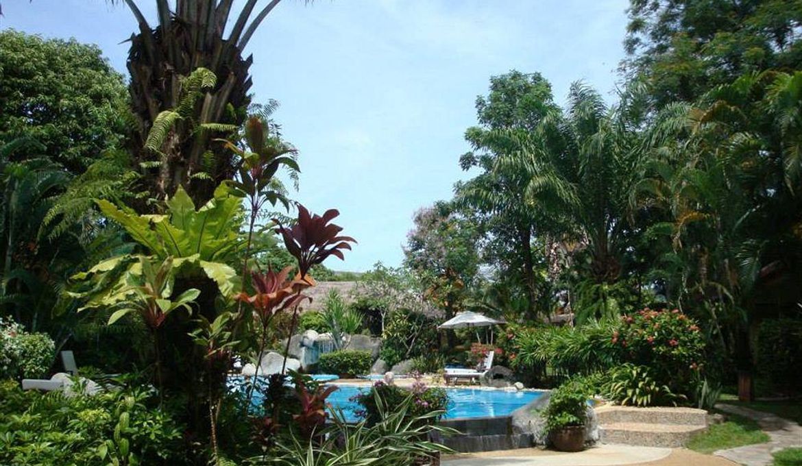 Palm Garden Resort