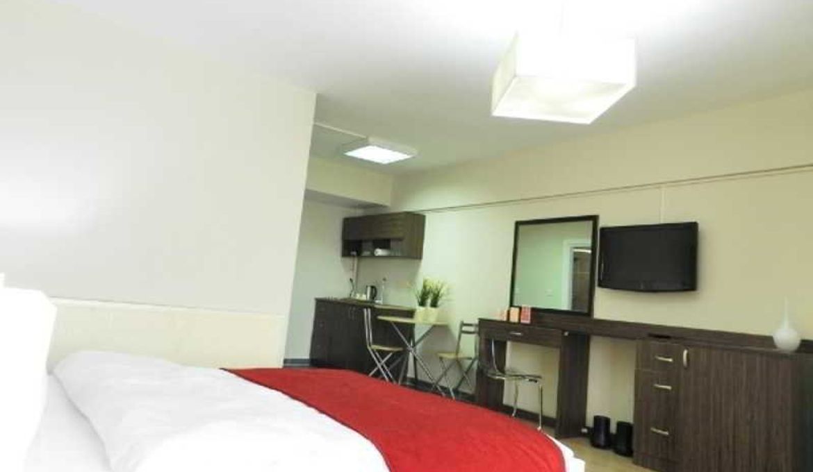 Rental House Istanbul Bakirkoy Studio VIP