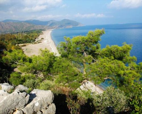 Olympos Deep Green Bungalows - Олимпос - фото 19