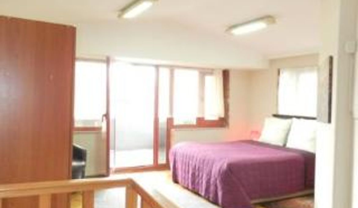 Rental House Istanbul Bakirkoy Family