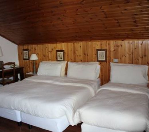 Hotel Bucaneve