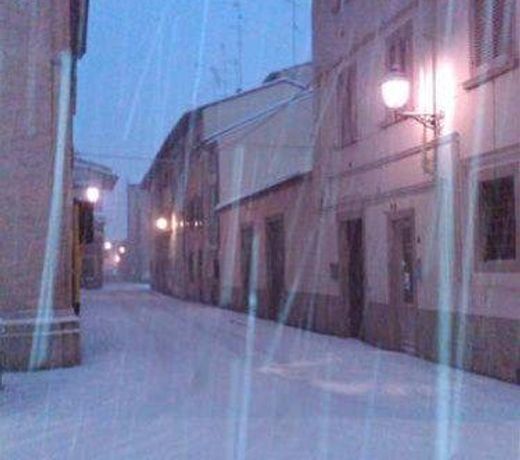 B&B Il Bacchino