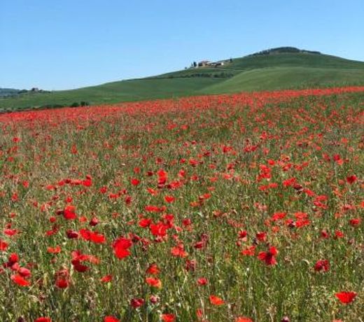 Agriturismo Poggio Tobruk